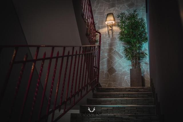 Paradise Ranch Hotel บอร์โก ซาโบติโน ภายนอก รูปภาพ